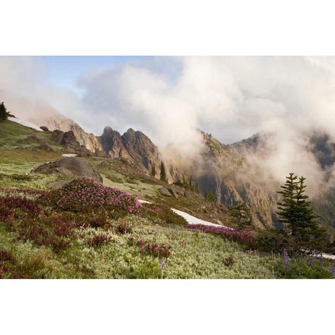Olympic NP Clouds over meadow and Klahhane Ridge Black Modern Wood Framed Art Print by Paulson, Don