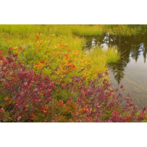 WA, Mt Baker Wilderness, Autumn at Picture Lake Black Modern Wood Framed Art Print by Paulson, Don