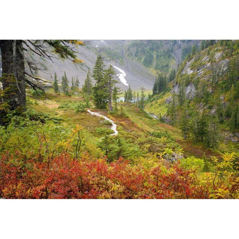 WA, Mt Baker Wilderness, Fall in Heather Meadows Black Modern Wood Framed Art Print by Paulson, Don