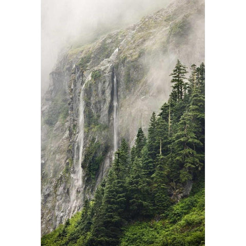 WA, North Cascades NP, Waterfall and fog Black Modern Wood Framed Art Print by Paulson, Don