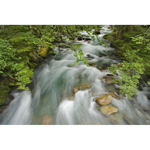 WA, North Cascades Water rushes in Cascade River Black Modern Wood Framed Art Print by Paulson, Don