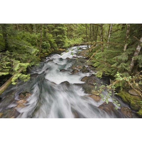 WA, North Cascades Water rushes in Cascade River Black Modern Wood Framed Art Print by Paulson, Don