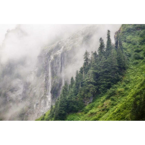WA, North Cascades NP, Waterfall and fog Black Modern Wood Framed Art Print by Paulson, Don