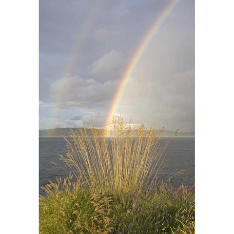 WA, Seabeck Double rainbow over the Hood Canal Gold Ornate Wood Framed Art Print with Double Matting by Paulson, Don