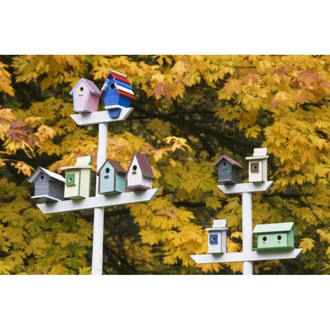 WA, Battle Ground Lake SP Variety of birdhouses Gold Ornate Wood Framed Art Print with Double Matting by Paulson, Don