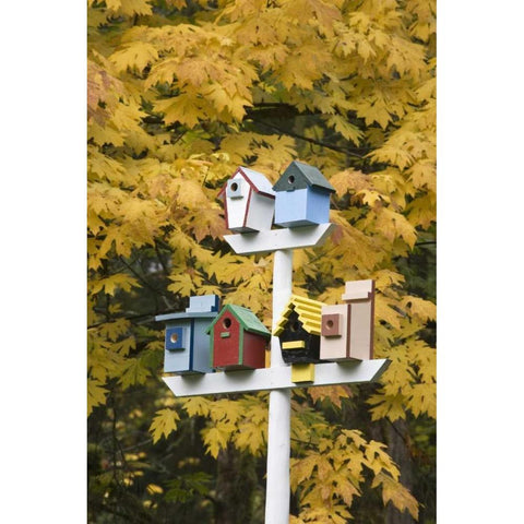 WA, Battle Ground Lake SP Variety of birdhouses Black Modern Wood Framed Art Print by Paulson, Don