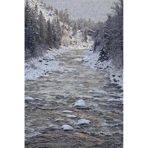 WA, Leavenworth Tees line Wenatchee River Black Modern Wood Framed Art Print by Paulson, Don