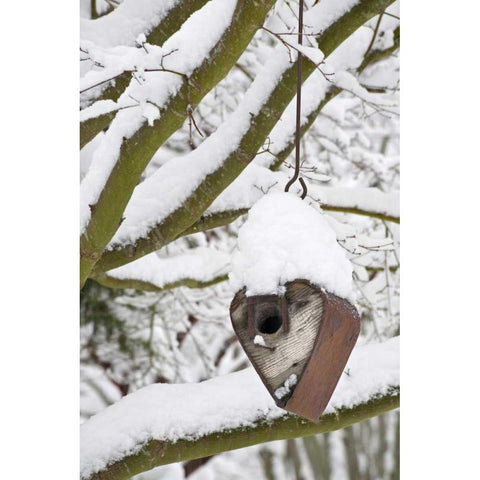 WA, Seabeck Heart-shaped bird house in snow Black Modern Wood Framed Art Print by Paulson, Don