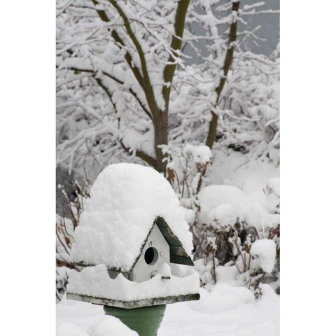 Washington, Seabeck Bird house covered in snow Black Modern Wood Framed Art Print by Paulson, Don