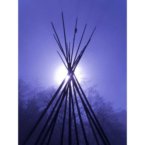 WA, Seabeck Teepee frame backlit by full moon White Modern Wood Framed Art Print by Paulson, Don