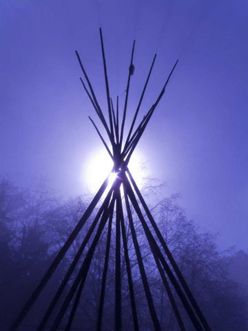 WA, Seabeck Teepee frame backlit by full moon Black Ornate Wood Framed Art Print with Double Matting by Paulson, Don