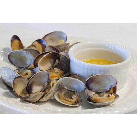 WA, Puget Sound Manila clams and butter sauce Black Modern Wood Framed Art Print by Paulson, Don