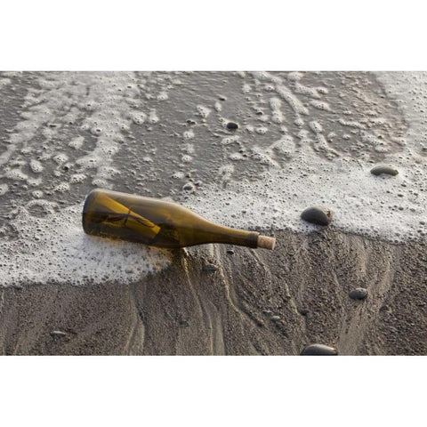 WA, Olympic NP Message in a bottle on shore Black Modern Wood Framed Art Print by Paulson, Don