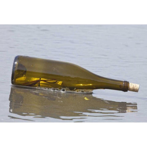 WA, Olympic NP Message in a bottle on shore Black Modern Wood Framed Art Print by Paulson, Don