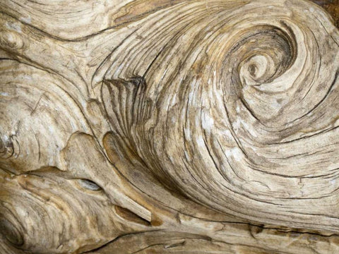 USA, Washington Close-up of swirled wood grain White Modern Wood Framed Art Print with Double Matting by Paulson, Don