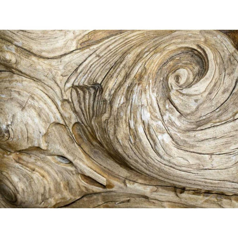 USA, Washington Close-up of swirled wood grain Black Modern Wood Framed Art Print by Paulson, Don