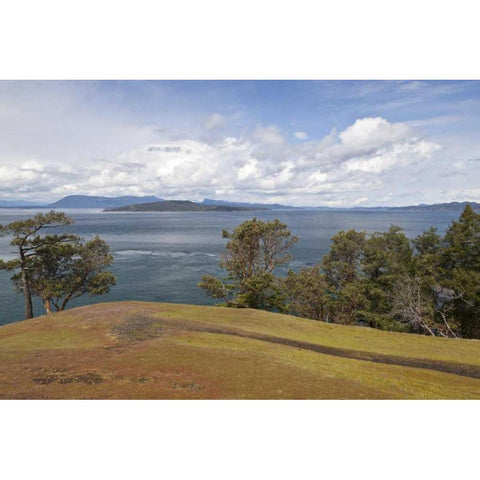 WA, San Juans Scenic overlook on Stuart Island Black Modern Wood Framed Art Print by Paulson, Don