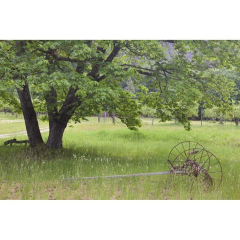WA, Stehekin Buckner Orchard and Homestead Black Modern Wood Framed Art Print by Paulson, Don