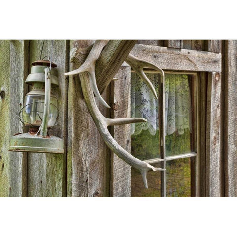 WA, Stehekin Antlers and lantern outside a cabin Black Modern Wood Framed Art Print by Paulson, Don