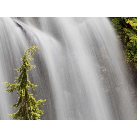 WA, Stehekin Waterfall on the Agnes Gorge Trail Black Modern Wood Framed Art Print by Paulson, Don