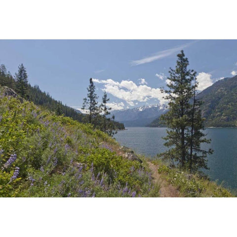 Washington, Stehekin Landscape of Lake Chelan Black Modern Wood Framed Art Print by Paulson, Don