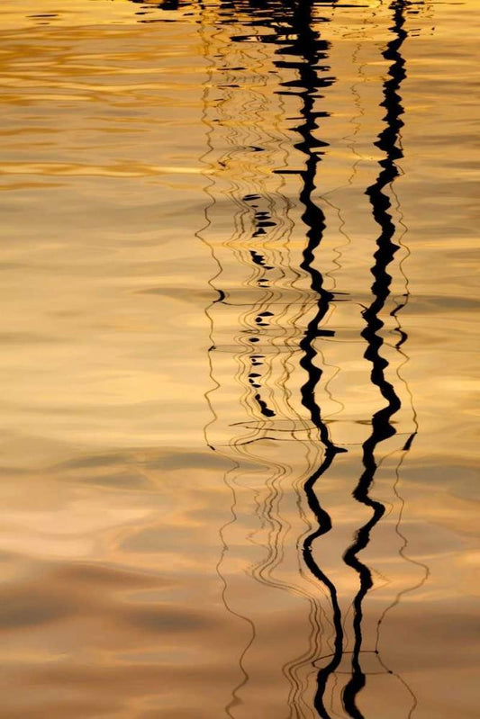 Image Only