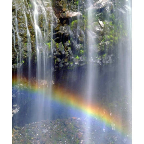 WA, Mount Rainer NP Rainbow at a waterfall White Modern Wood Framed Art Print by Talbot Frank, Christopher