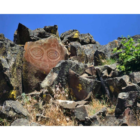 WA, Columbia GorgeTsagaglalal petroglyph White Modern Wood Framed Art Print by Terrill, Steve