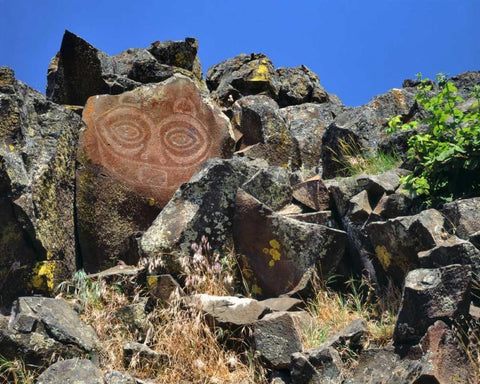 WA, Columbia GorgeTsagaglalal petroglyph Black Ornate Wood Framed Art Print with Double Matting by Terrill, Steve