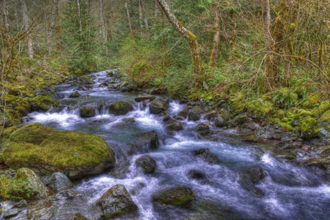 WA, Rocky Brook Falls Stream cascades over rocks Black Ornate Wood Framed Art Print with Double Matting by Shimlock, Jones