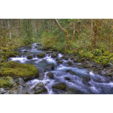 WA, Rocky Brook Falls Stream cascades over rocks Black Modern Wood Framed Art Print with Double Matting by Shimlock, Jones