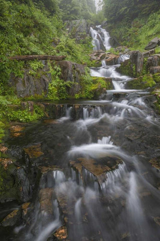 WA, Mount Rainier NP Cascades on Sunbeam Creek White Modern Wood Framed Art Print with Double Matting by Paulson, Don