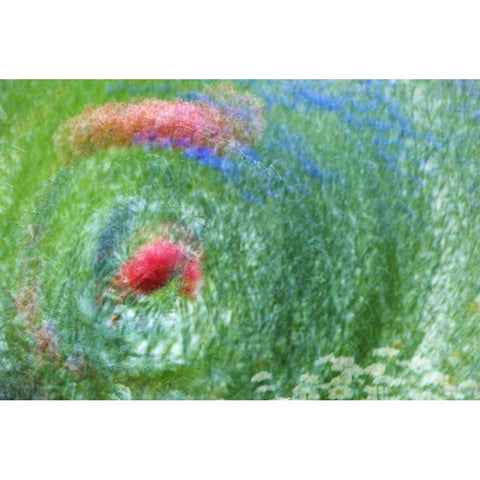 WA, Whidbey Isl Montage of flowers and greenery Black Modern Wood Framed Art Print by Bush, Marie