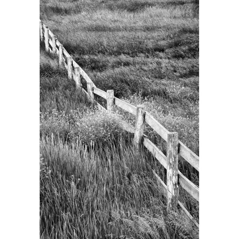 Washington Wooden fence in the Palouse country White Modern Wood Framed Art Print by Flaherty, Dennis