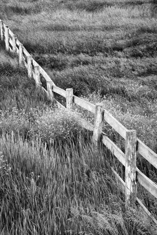 Washington Wooden fence in the Palouse country White Modern Wood Framed Art Print with Double Matting by Flaherty, Dennis