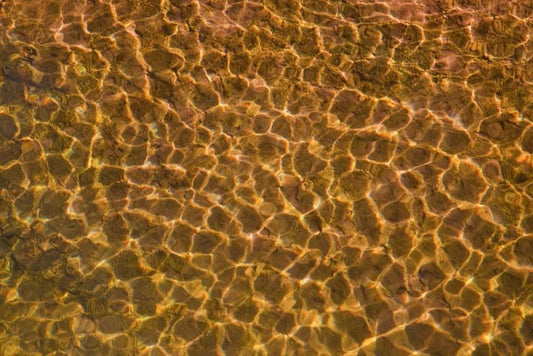 Image Only