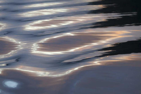 Canada, BC, Sunset on water wave patterns White Modern Wood Framed Art Print with Double Matting by Paulson, Don