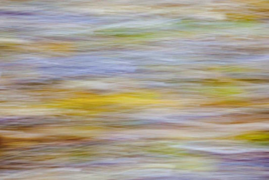 Image Only