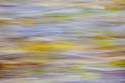 WA, Seabeck Motion blur of fall leaves on beach White Modern Wood Framed Art Print with Double Matting by Paulson, Don