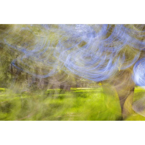 Mexico, Tecate Motion blurred outside abstract Black Modern Wood Framed Art Print by Paulson, Don