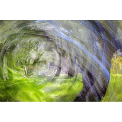 Mexico, Tecate Motion blurred outside abstract Black Modern Wood Framed Art Print by Paulson, Don