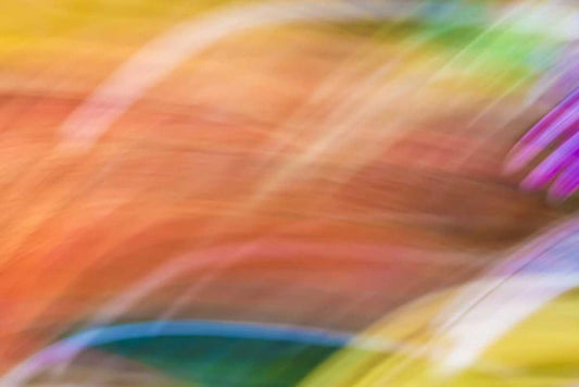 Image Only