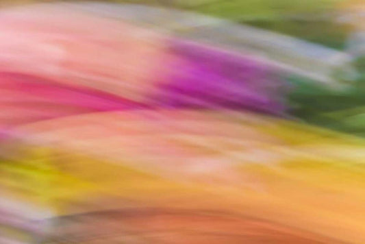 Image Only