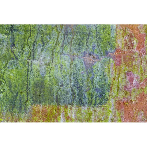 Washington, Fort Hayden Abstract painted wall White Modern Wood Framed Art Print by Paulson, Don