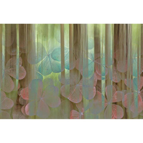 Washington, Seabeck Collage of oxalis and trees Black Modern Wood Framed Art Print by Paulson, Don