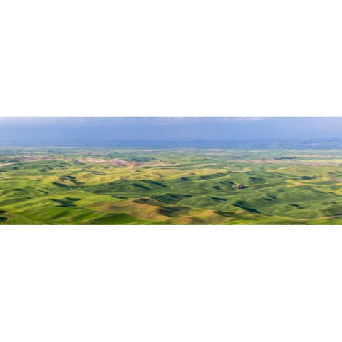 Washington, Palouse Hills Panorama of farmland Black Modern Wood Framed Art Print with Double Matting by Paulson, Don