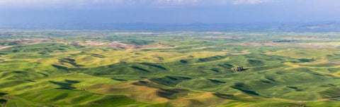 Washington, Palouse Hills Panorama of farmland White Modern Wood Framed Art Print with Double Matting by Paulson, Don