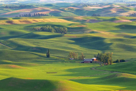 WA, Palouse Hills Farmland from Steptoe Butte Black Ornate Wood Framed Art Print with Double Matting by Paulson, Don