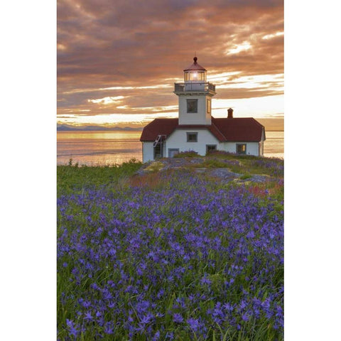 Washington, San Juan Islands Patos Lighthouse White Modern Wood Framed Art Print by Paulson, Don
