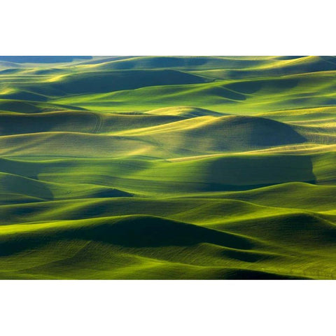 WA, Palouse Hills Farmland from Steptoe Butte Black Modern Wood Framed Art Print with Double Matting by Paulson, Don